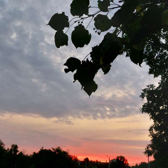 A walk. Weather forecasts with beautiful photos by Iryna Photos in Kharkiv