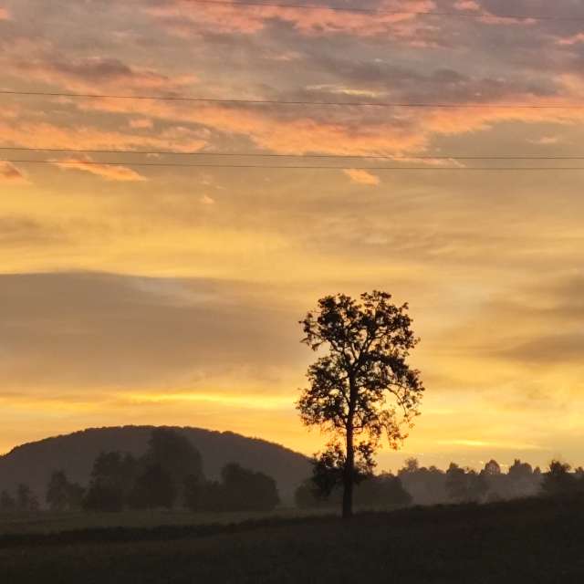 Allersberg的Weather. 天气预报，带Brtd精美的照片照片