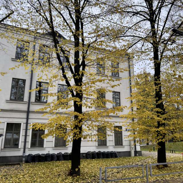 Bench. Weather forecasts with beautiful photos by Svet-Lana Photos in Rīga