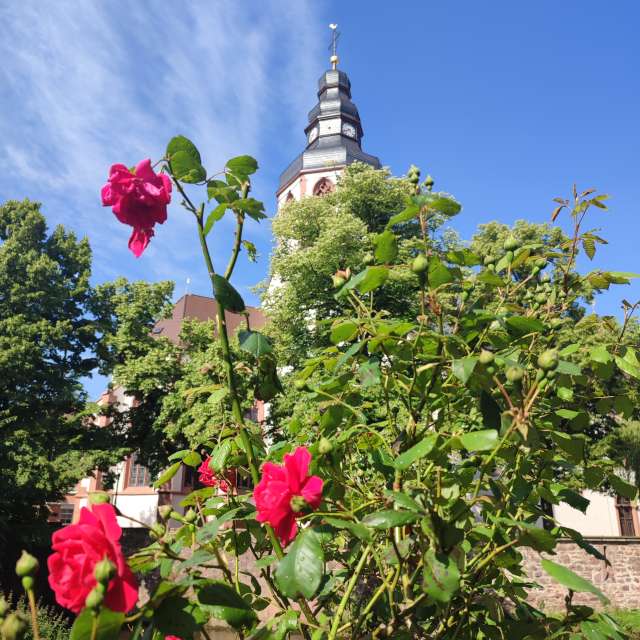 High. Weather forecasts with beautiful photos by Tercis Photos in Ettlingen