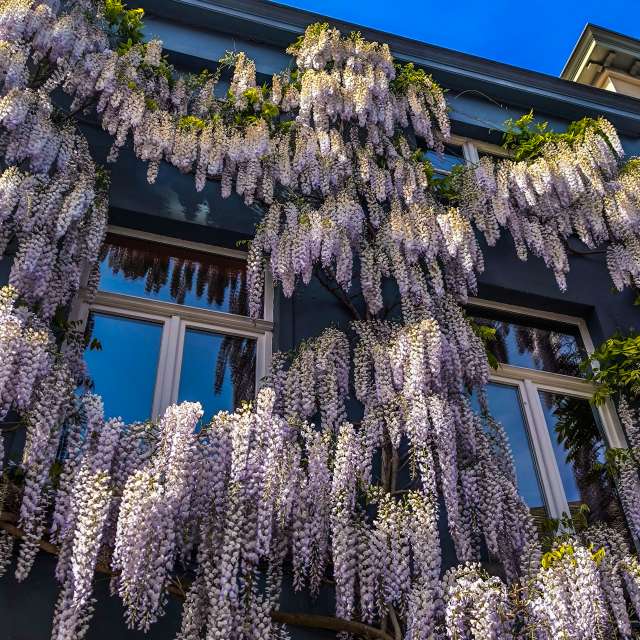 Weather forecasts with beautiful photos by agOost