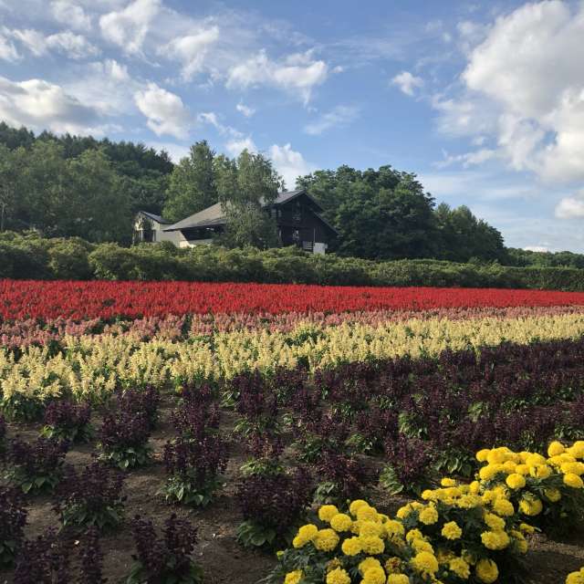 Weather forecasts with beautiful photos by web3dao