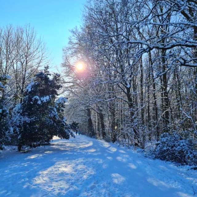 Photos Croix. Prévisions météo avec de superbes photos de Seni de Velbert