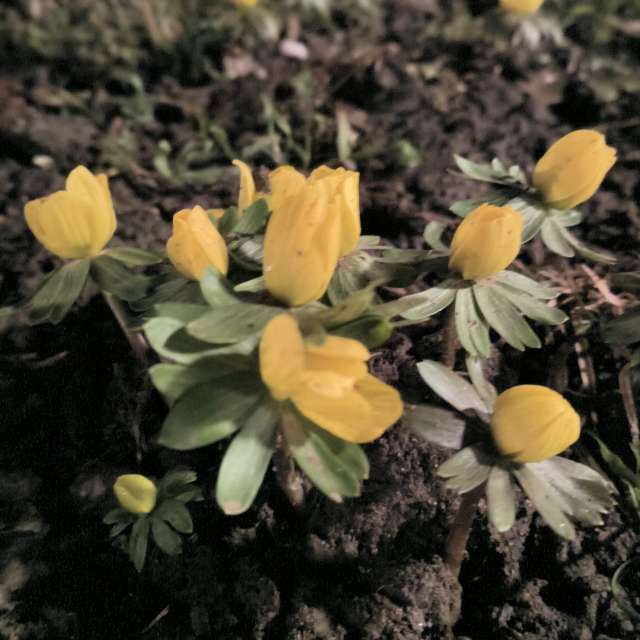 Previsões do tempo com lindas fotos de YanBog