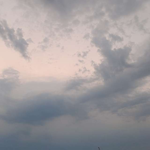 Fotos Navio. Previsões do tempo com lindas fotos de Михаил Бондаренко em Pionerskiy