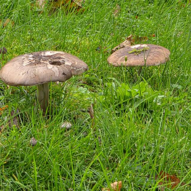 Grassy. Weather forecasts with beautiful photos by Seni Photos in World