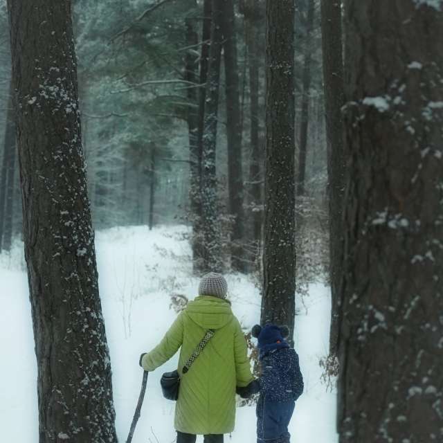 Weather forecasts with beautiful photos by T-Antonio