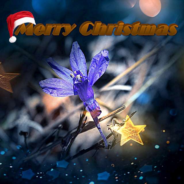 Прогнозы погоды с чудесными фотографиями, сделанными ConstantinR