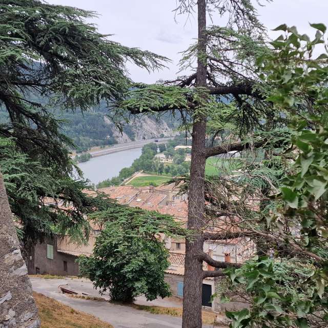 天气预报，带loris-b精美的照片