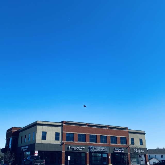 Weather. Weather forecasts with beautiful photos by Lulu5523 Photos in le Plateau