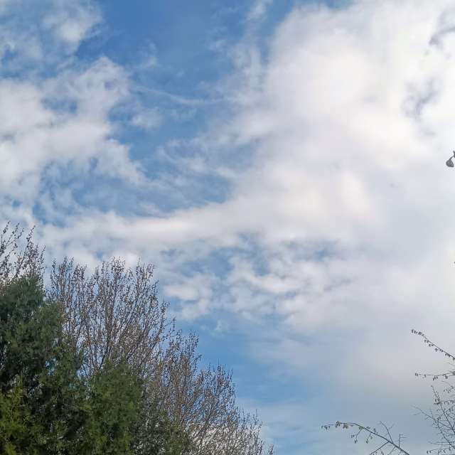 Fotos del Parque. Pronósticos del tiempo con hermosas fotos de YanBog en Bucharest