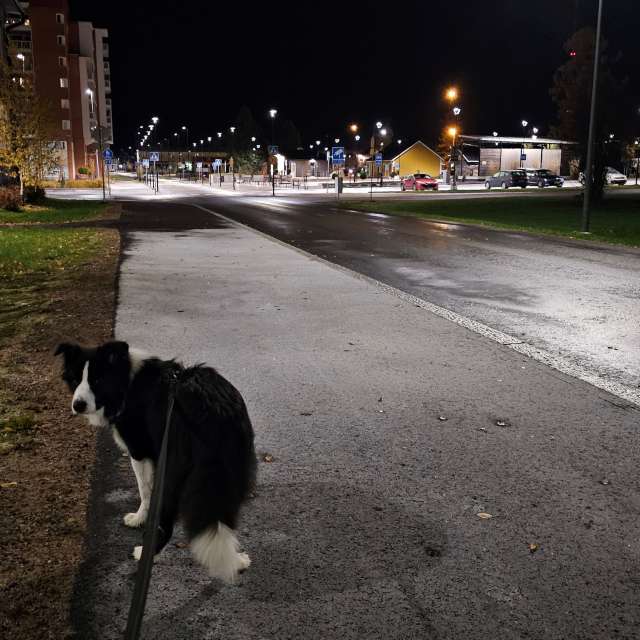 Previsões do tempo com lindas fotos de Piia