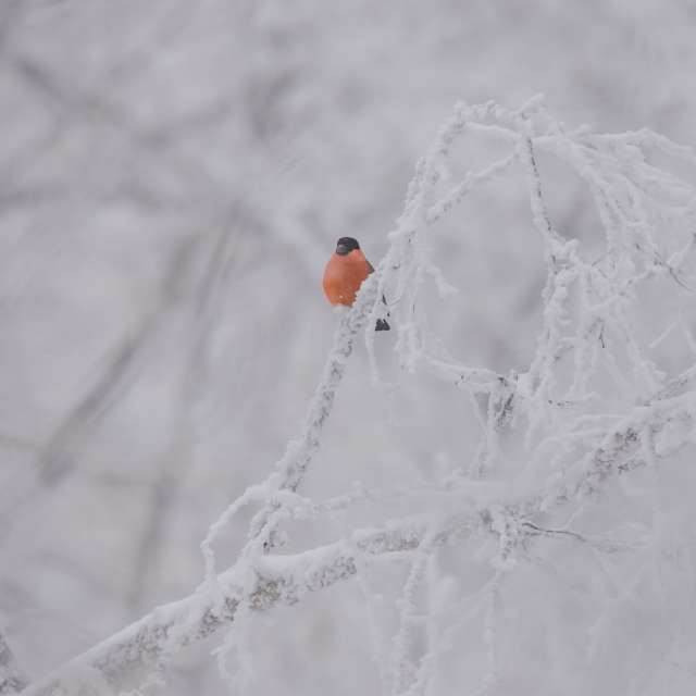Фотографии Погоды в Мир. Прогнозы погоды с чудесными фотографиями, сделанными Nymph542