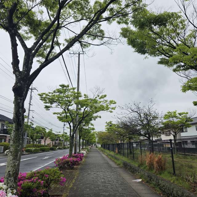 Small. Weather forecasts with beautiful photos by vhonzai Photos in Okayama