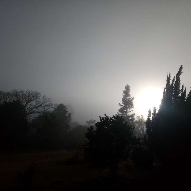 Weather forecasts with beautiful photos by neconobre