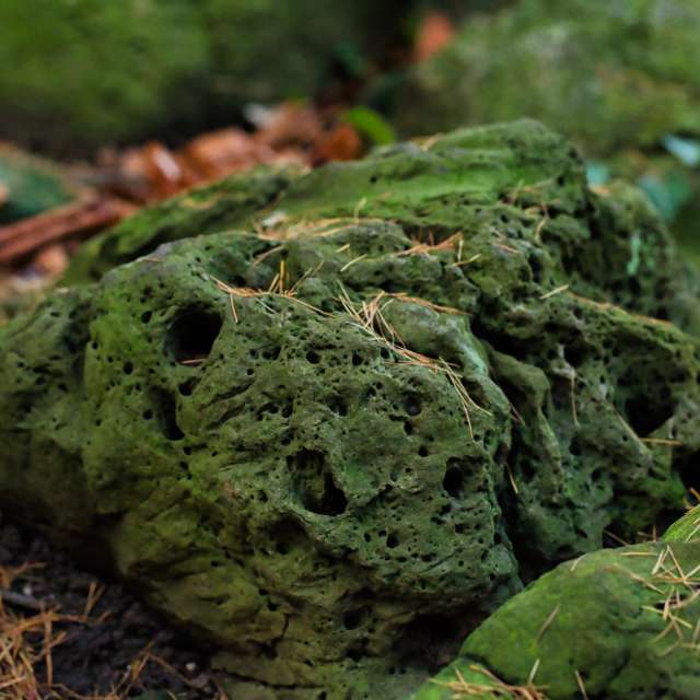 Weather forecasts with beautiful photos by martinm611