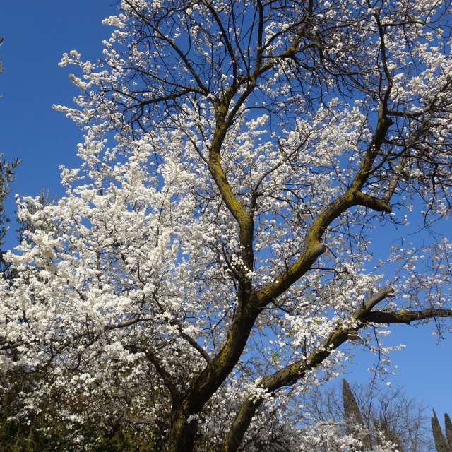 Weather forecasts with beautiful photos by Rikar Gartzia