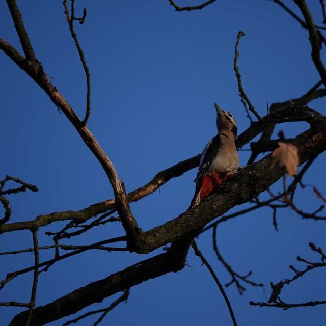 Fotos Obloha. Previsões do tempo com lindas fotos de Vasek325 em Praha 4