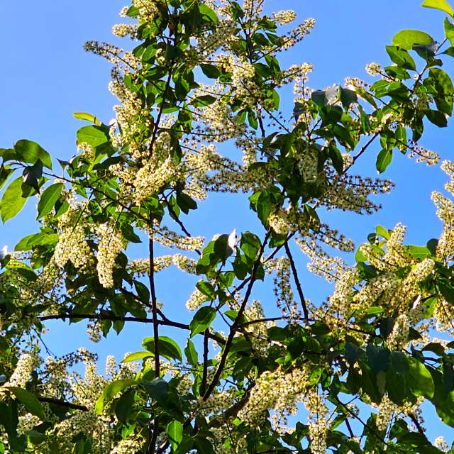 Tall. Weather forecasts with beautiful photos by Seni Photos in Velbert