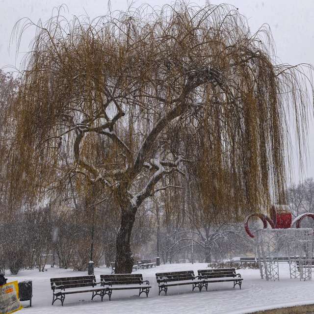 George Popoの美しい写真による天気予報