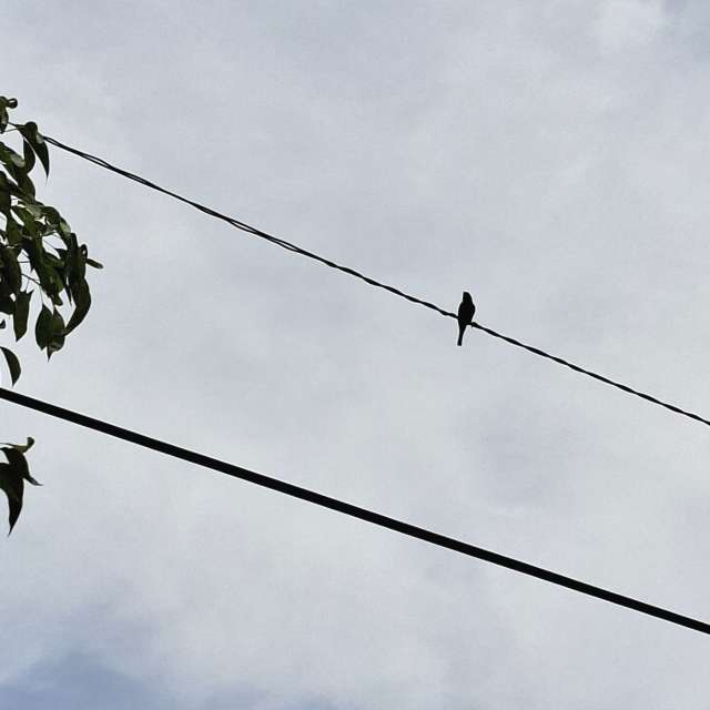 Traffic. Weather forecasts with beautiful photos by Wen-ya Huang Photos in Kaohsiung City