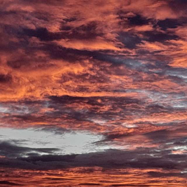 Pronósticos del tiempo con hermosas fotos de Liv