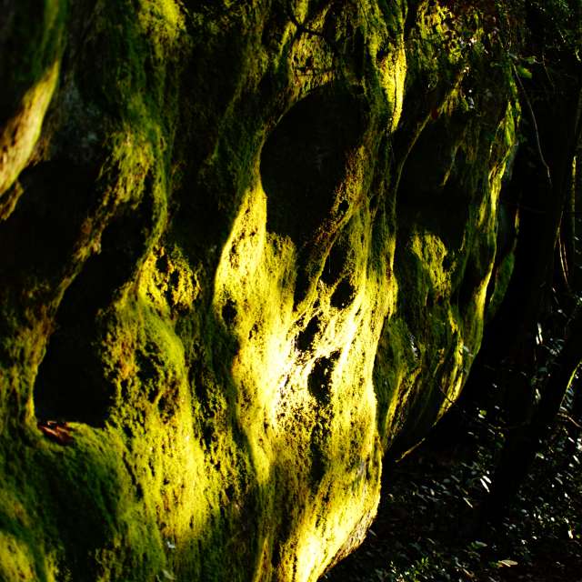 Weather forecasts with beautiful photos by tony5636