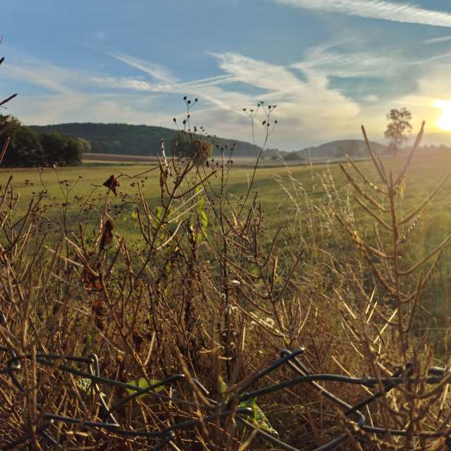 Allersberg的Weather. 天气预报，带Brtd精美的照片照片