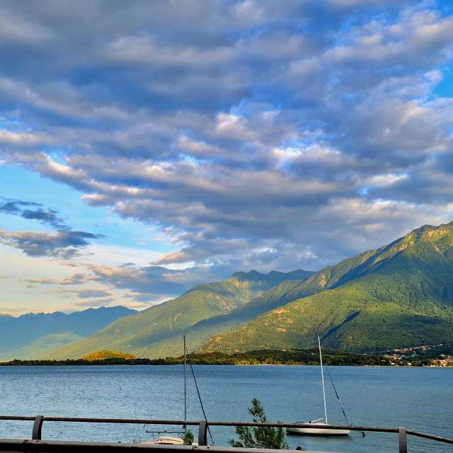 天气预报，带loris-b精美的照片