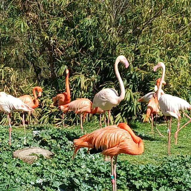 Walking. Weather forecasts with beautiful photos by Zaza Photos in World