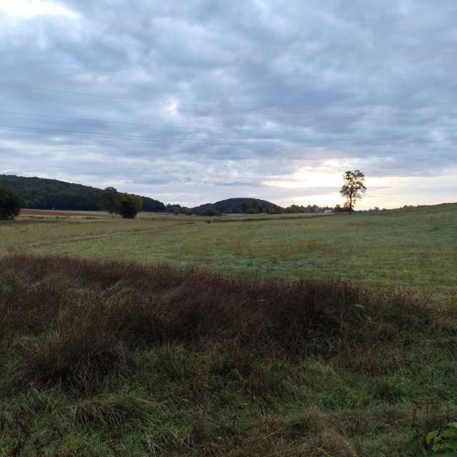 Allersberg的Weather. 天气预报，带Brtd精美的照片照片