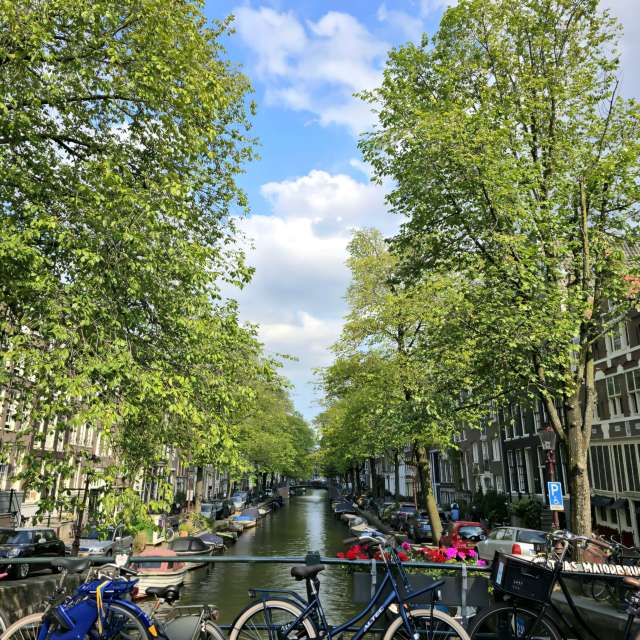 Photos Arbre. Prévisions météo avec de superbes photos de Wonderman de Amsterdam