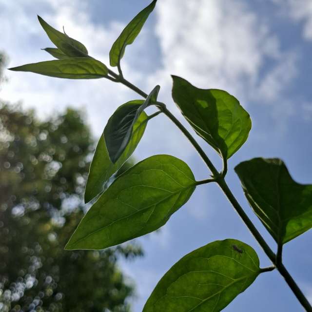 Stop. Weather forecasts with beautiful photos by Wen-ya Huang Photos in Kaohsiung City