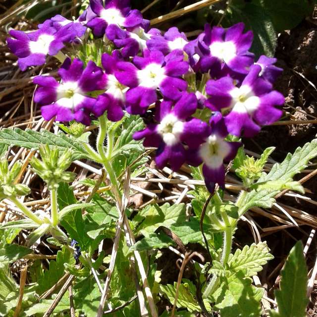 Weather. Weather forecasts with beautiful photos by urashm Photos in Khmelnytskyi