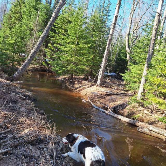 Weather forecasts with beautiful photos by NorthernMichiganBeauty