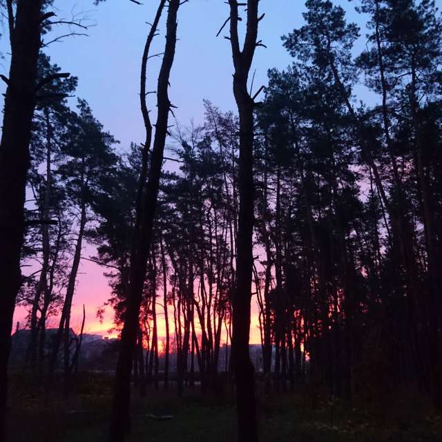 Boat. Weather forecasts with beautiful photos by Михаил Гавриков Photos in Kharkiv