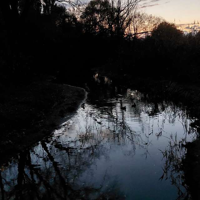 Dusk. Weather forecasts with beautiful photos by Iryna Photos in Kharkiv