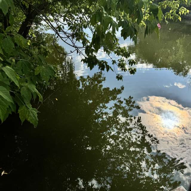 Walking. Weather forecasts with beautiful photos by Sonia Photos in Chisinau