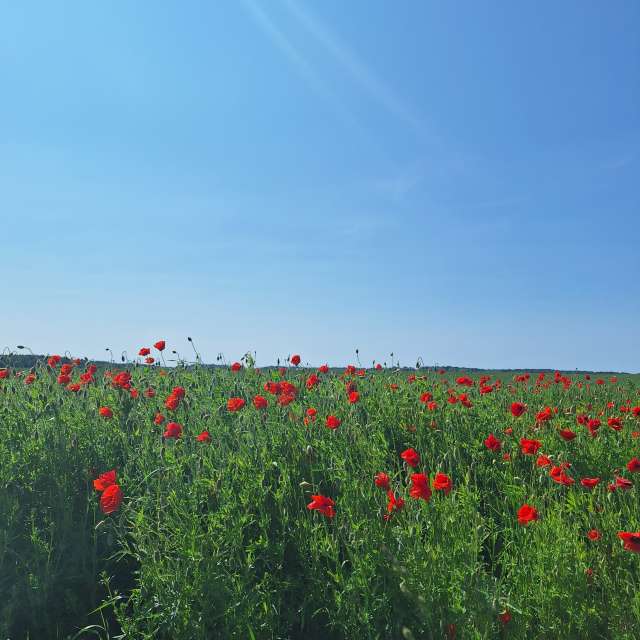 Landscape. Wettervorhersagen mit schönen Fotos von NaturePhotographer2 Fotos Litauen