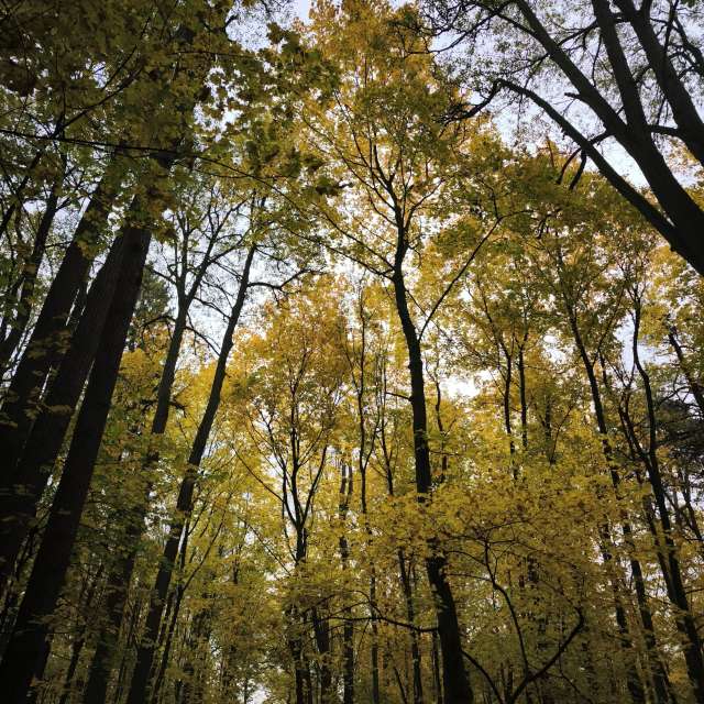 Weather forecasts with beautiful photos by Amanda_and_Valdemar_Che