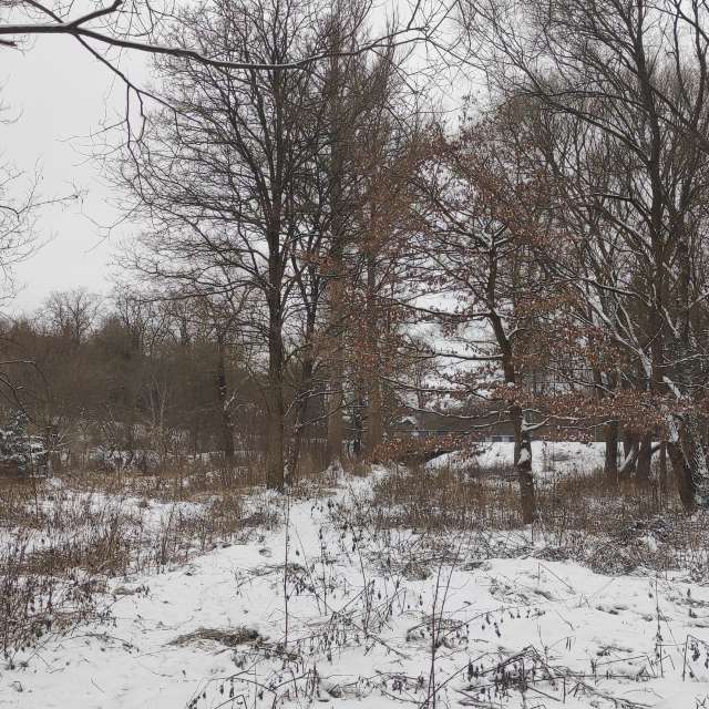 Gruppe. Wettervorhersagen mit schönen Fotos von Kripo Fotos Ladek Zdroj