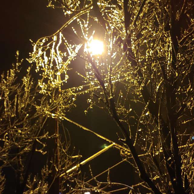 Fotos del Firmar. Pronósticos del tiempo con hermosas fotos de 2Lex7 en Bucharest