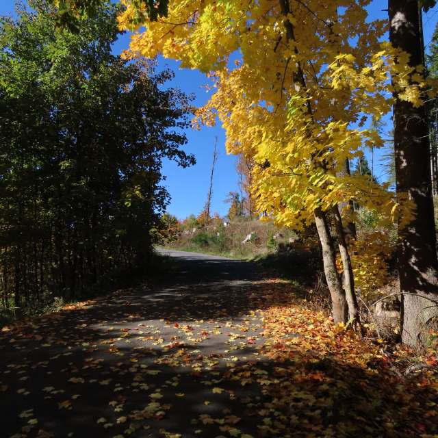 天气预报，带Sviatoslav精美的照片
