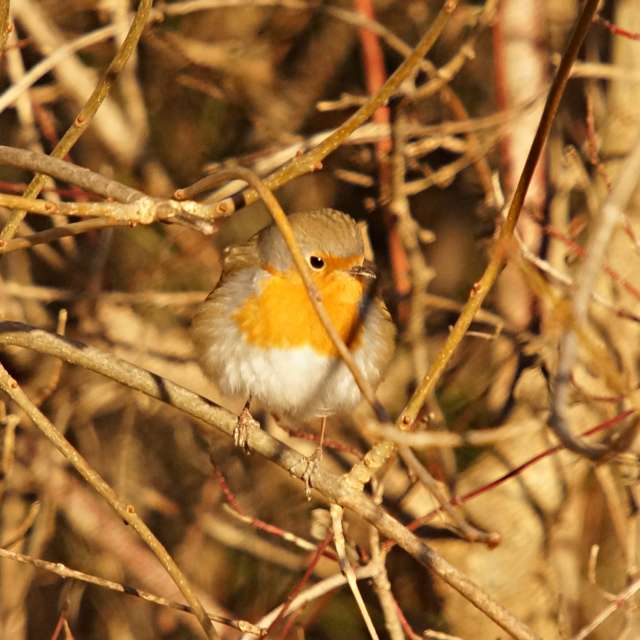 Weather forecasts with beautiful photos by tony5636