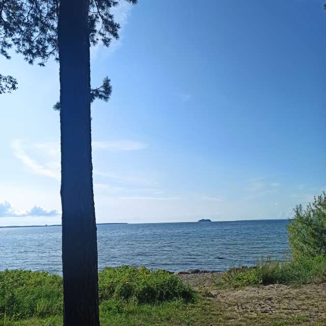 天气预报，带NataliaVologda精美的照片