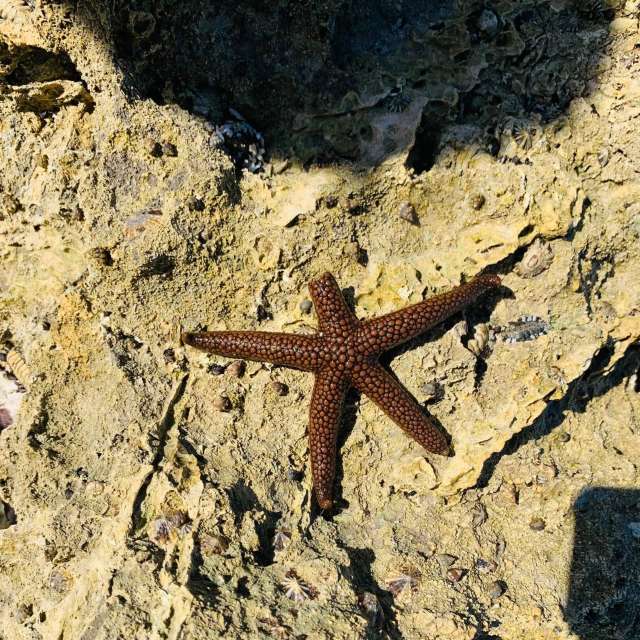 Prévisions météo avec de superbes photos de WelshAussie