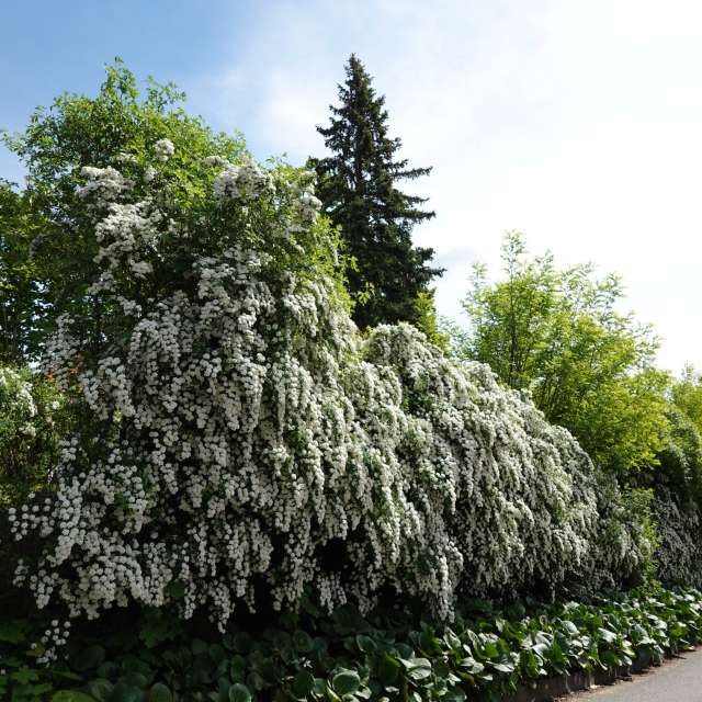 Fotos Grande. Previsões do tempo com lindas fotos de Vasek325 em Praha 4