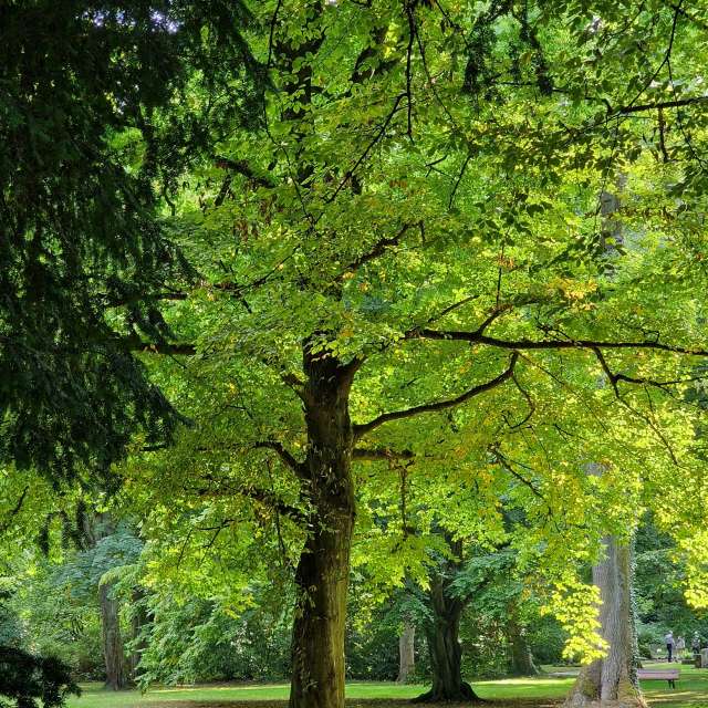 Prévisions météo avec de superbes photos de FraLampedusa