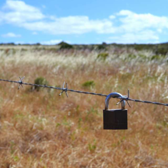 天气预报，带Step_Gently精美的照片