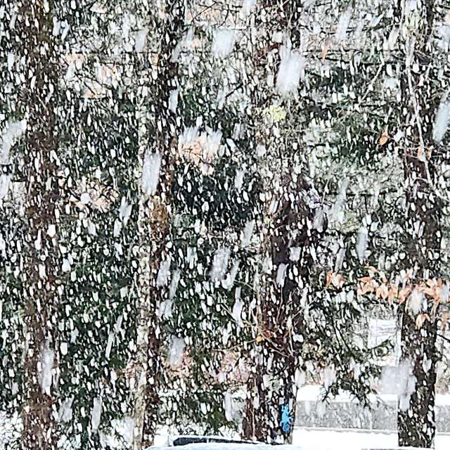 Pronósticos del tiempo con hermosas fotos de Kepi